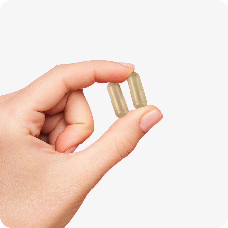 Conceive Plus Fertility Pack Ovulation & Motility Support showing a close-up of a hand holding two beige vegan capsules of Ovulation Support between thumb and forefinger, demonstrating supplement size and ease of daily use, against a white background.