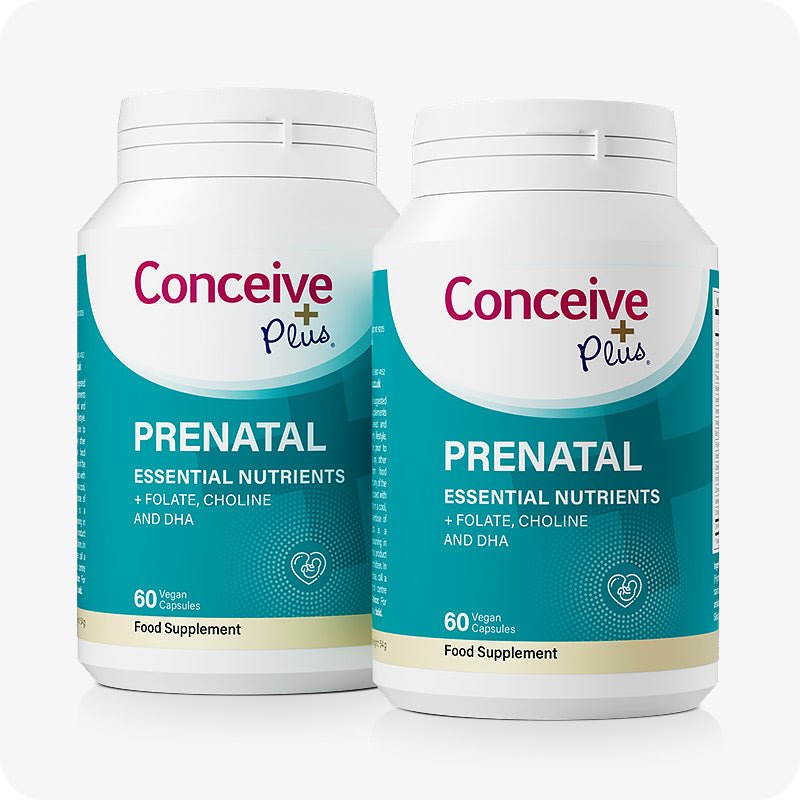 Two bottles of Conceive Plus Prenatal Essential Nutrients supplements, each containing 60 vegan capsules, formulated with folate, choline, and DHA to support maternal health.