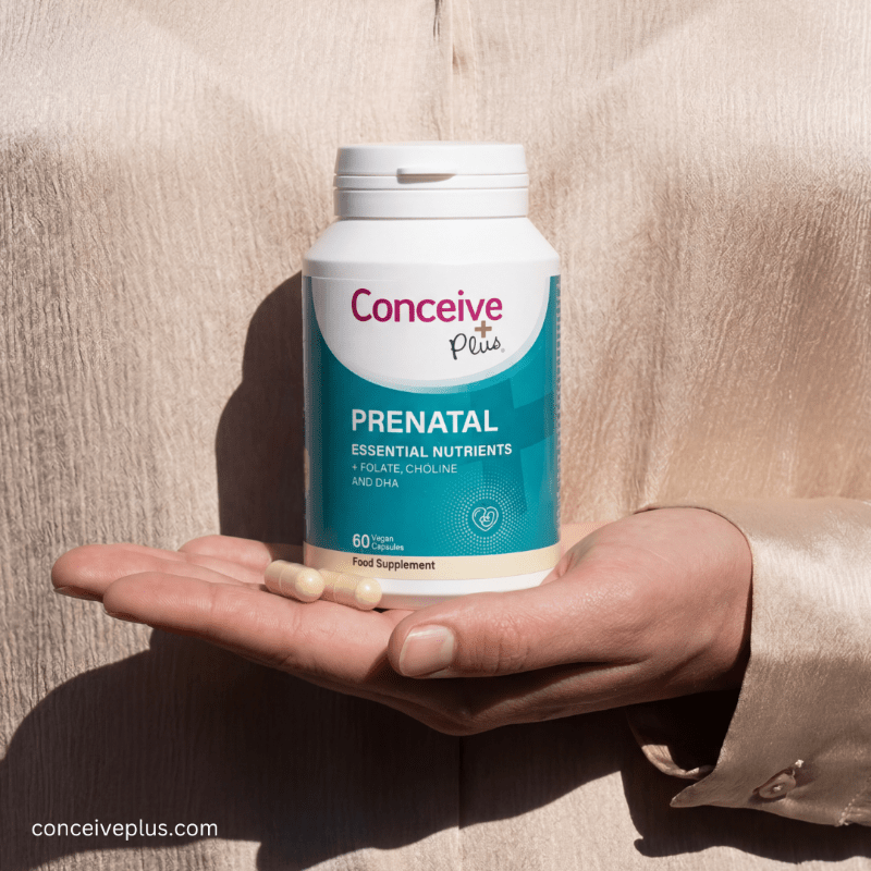 Person holding a bottle of Conceive Plus Prenatal supplements against a neutral background